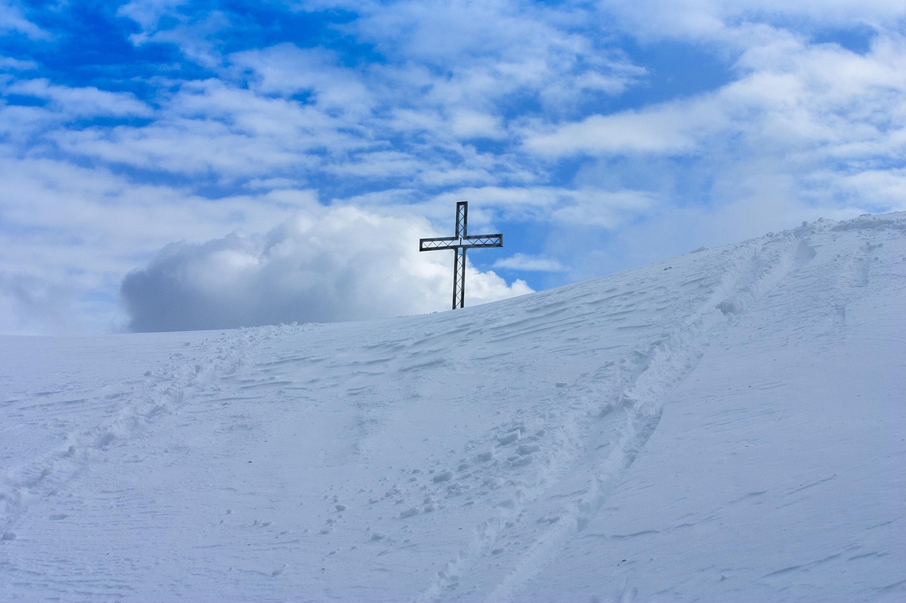 铁盒铁塔猫奶油爆珠：山西葡萄苗购买平台