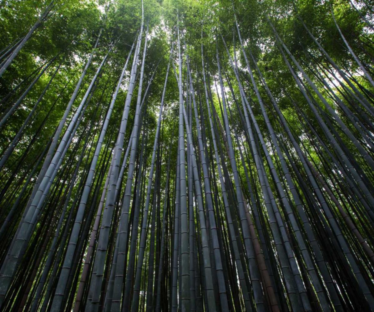 亚游ios如何注册香港账号