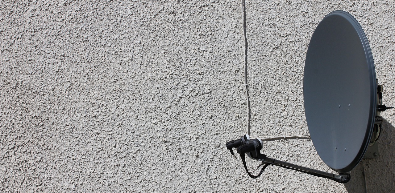 聚名网实名账号:papaya app详情下载教程