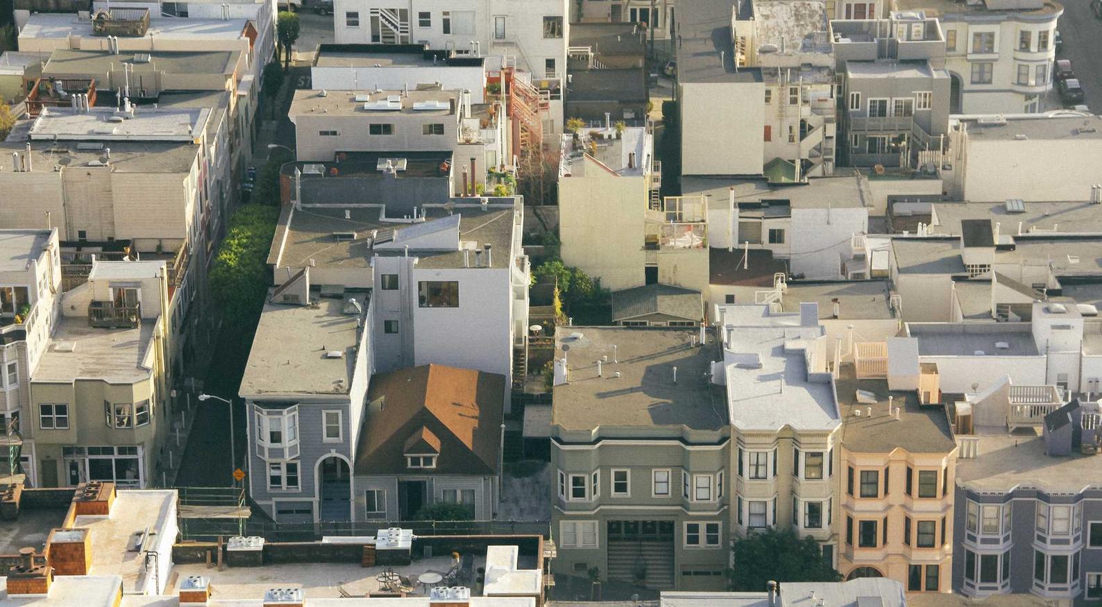 网信移动实名账号:老虎app 详情下载教程